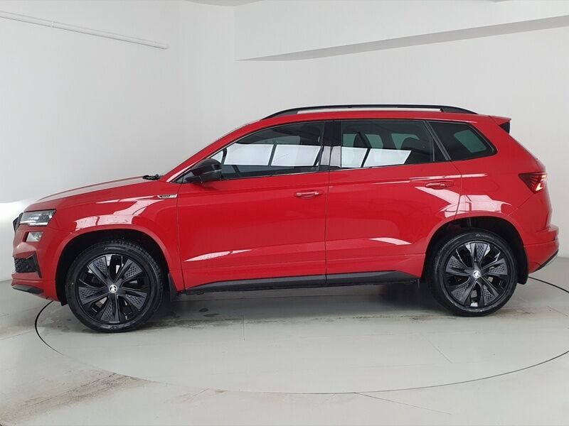 More views of Skoda Karoq