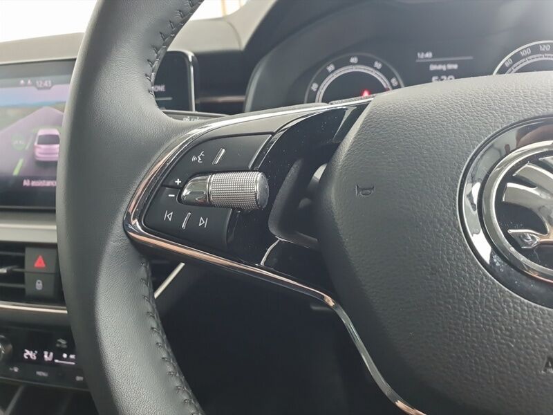 More views of Skoda Scala