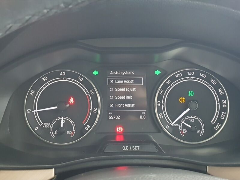 More views of Skoda Scala