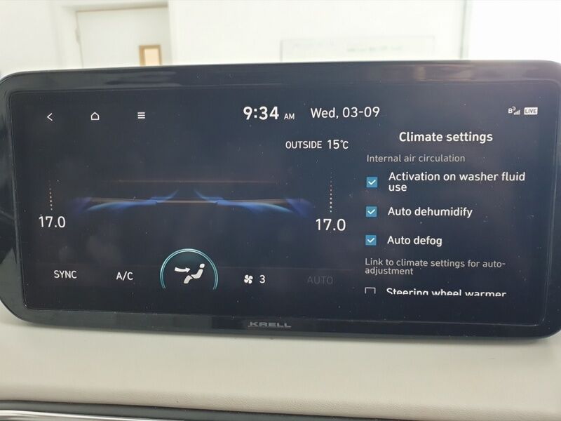 More views of Hyundai Santa Fe