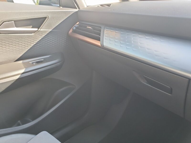 More views of Cupra Born