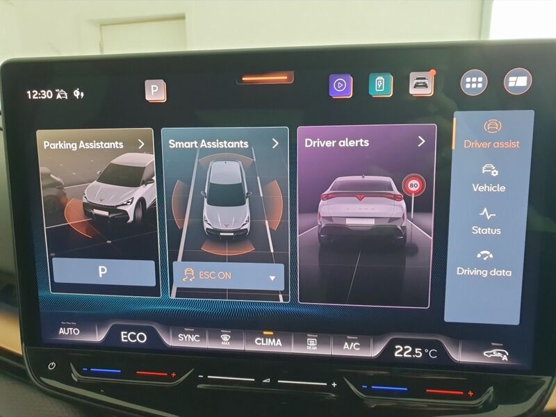 More views of Cupra Tavascan