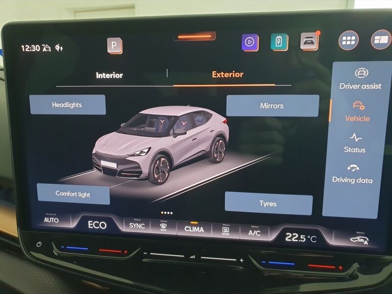 More views of Cupra Tavascan