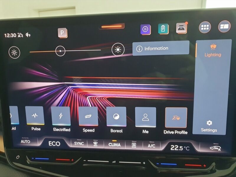 More views of Cupra Tavascan