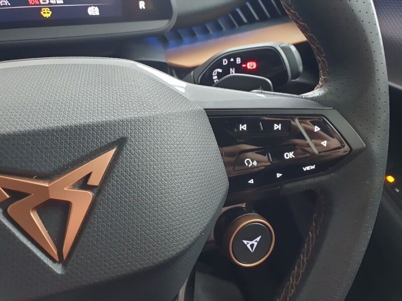 More views of Cupra Tavascan