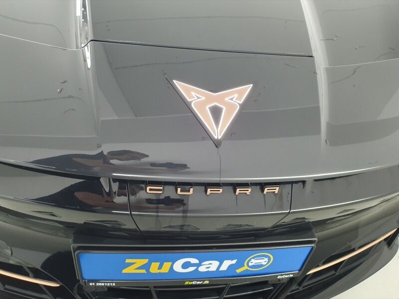 More views of Cupra Tavascan