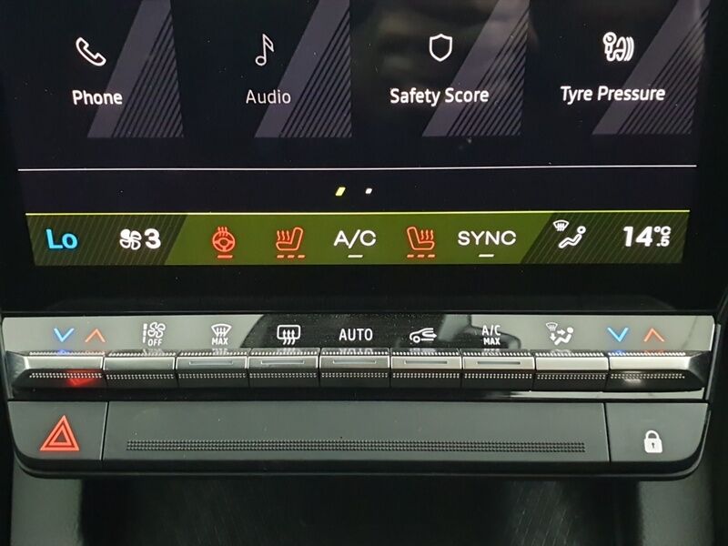 More views of Renault Scenic