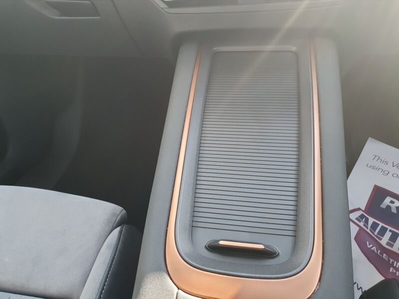 More views of Cupra Born