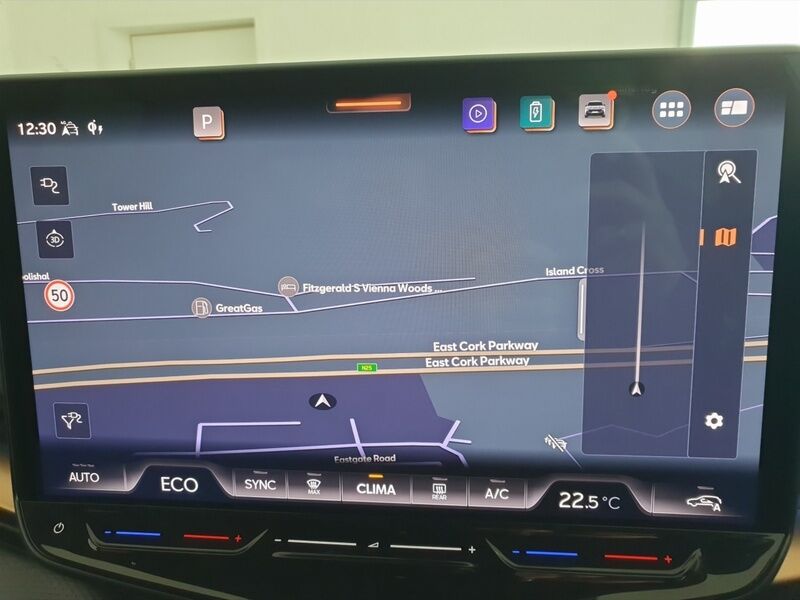 More views of Cupra Tavascan