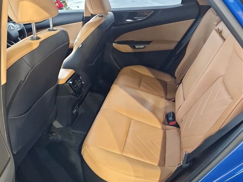 More views of Lexus NX