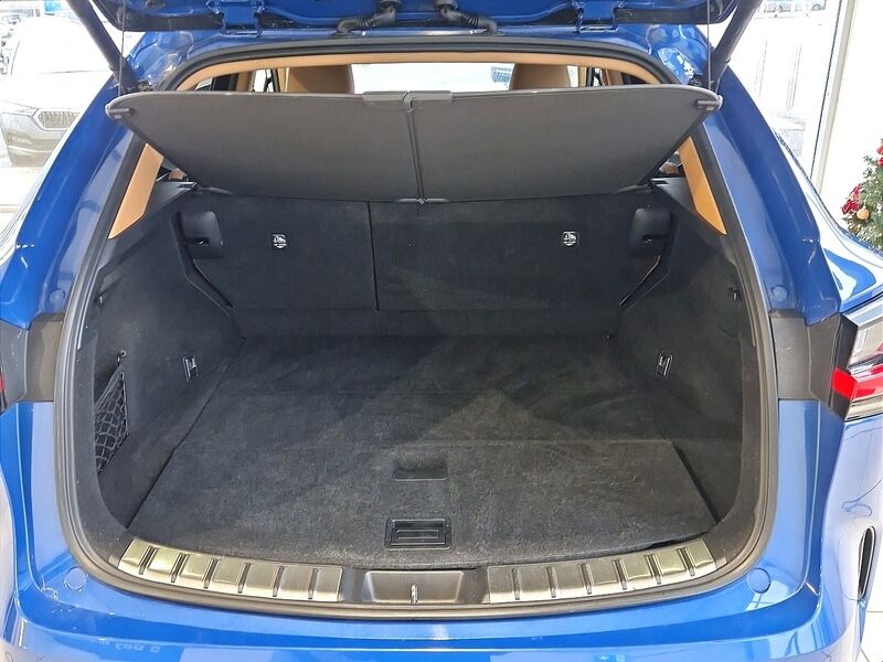 More views of Lexus NX