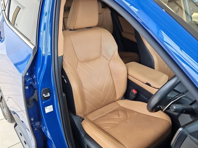 More views of Lexus NX