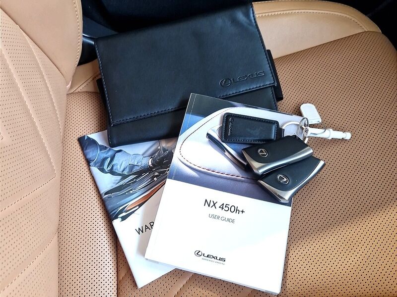 More views of Lexus NX