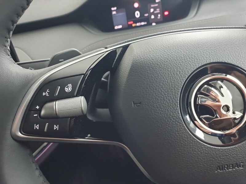 More views of Skoda Enyaq