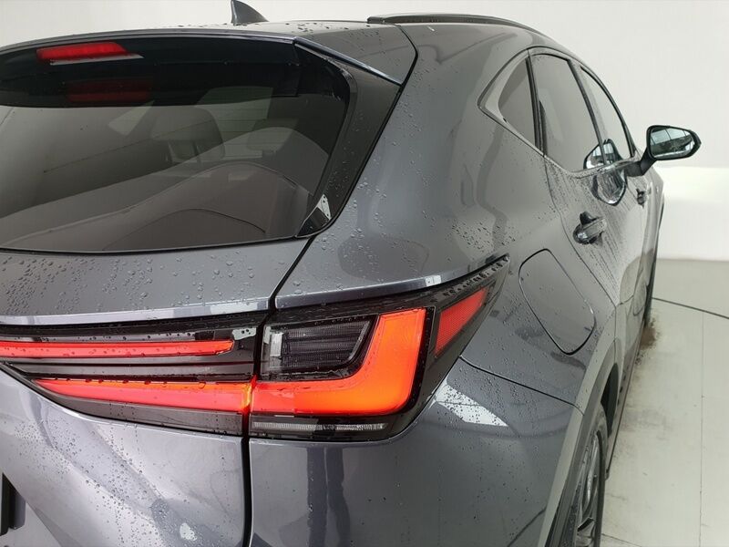 More views of Lexus NX