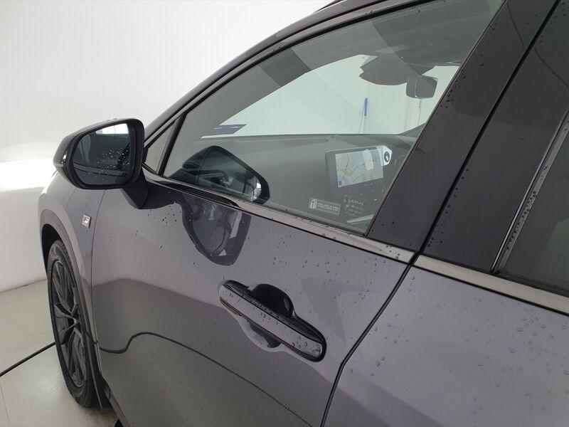 More views of Lexus NX