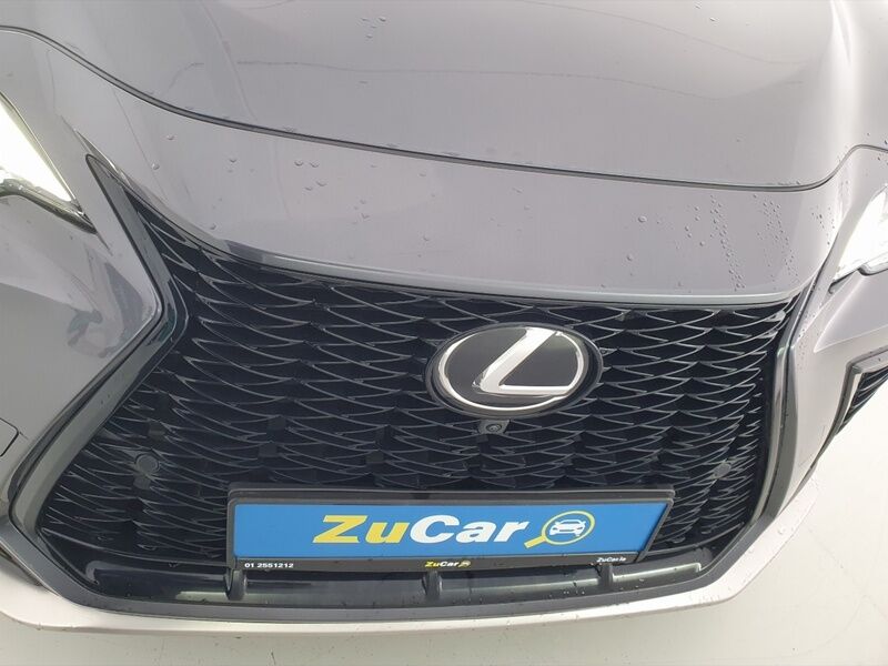 More views of Lexus NX