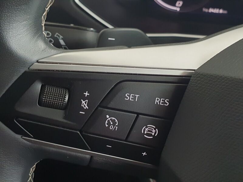 More views of SEAT Tarraco