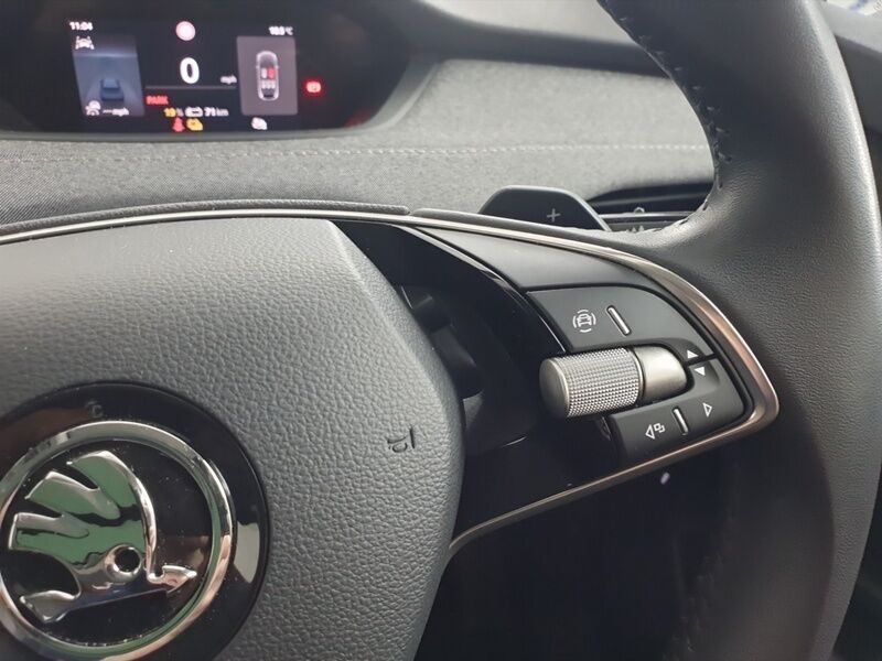 More views of Skoda Enyaq