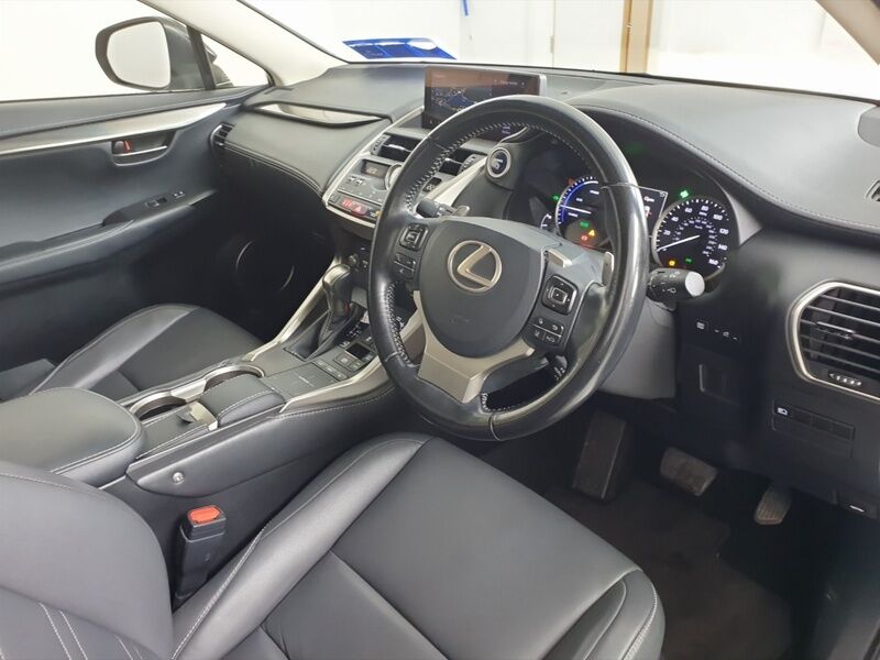 More views of Lexus NX