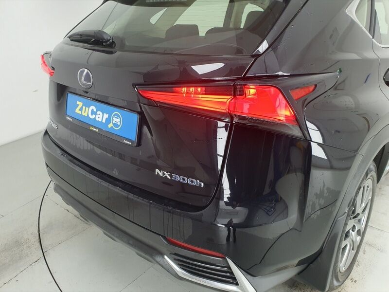More views of Lexus NX