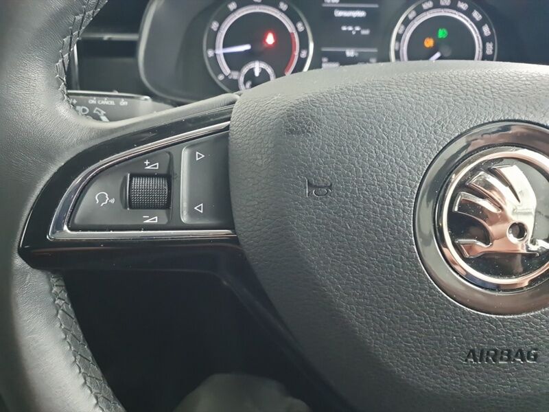 More views of Skoda Scala