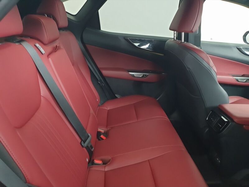 More views of Lexus NX