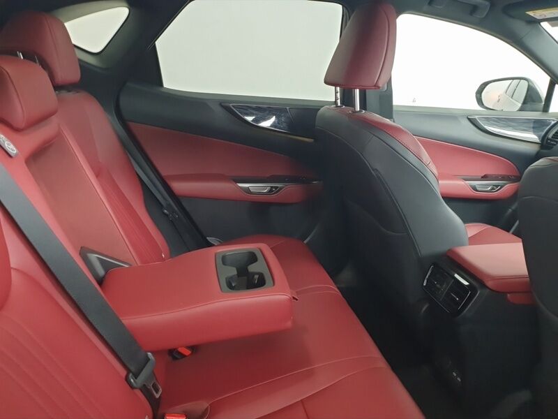 More views of Lexus NX