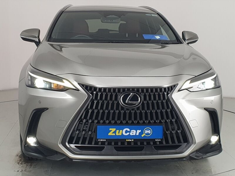 More views of Lexus NX