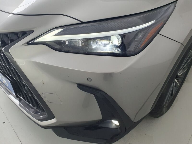 More views of Lexus NX