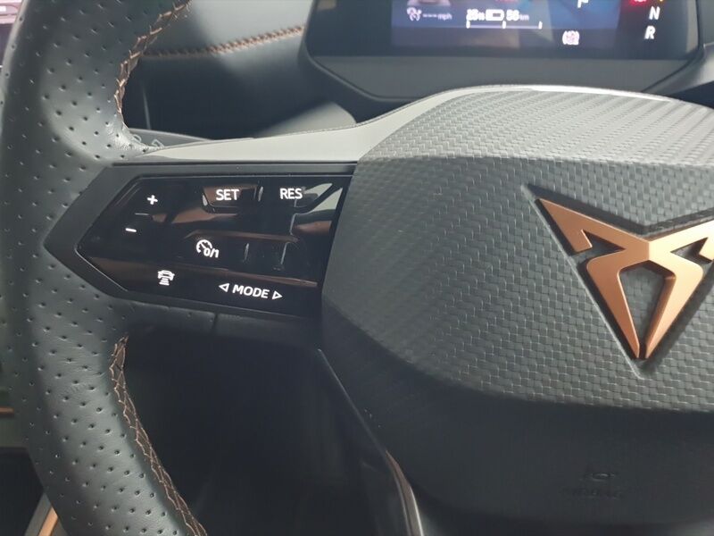 More views of Cupra Born