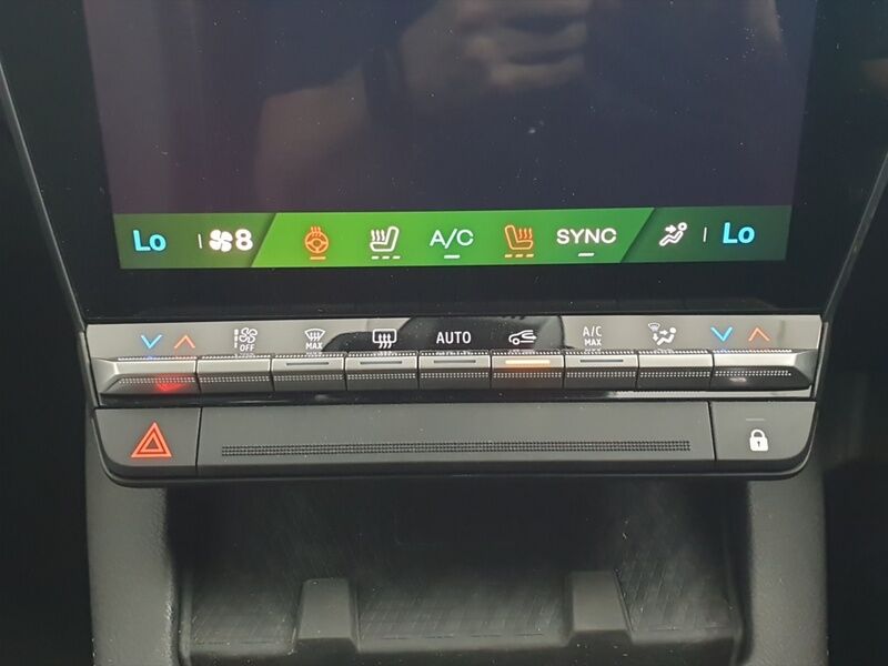 More views of Renault Scenic