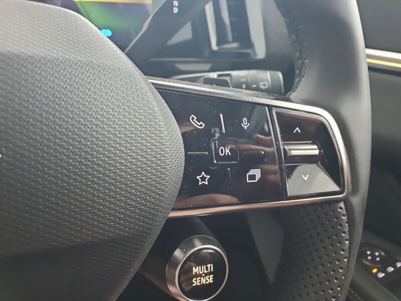More views of Renault Scenic