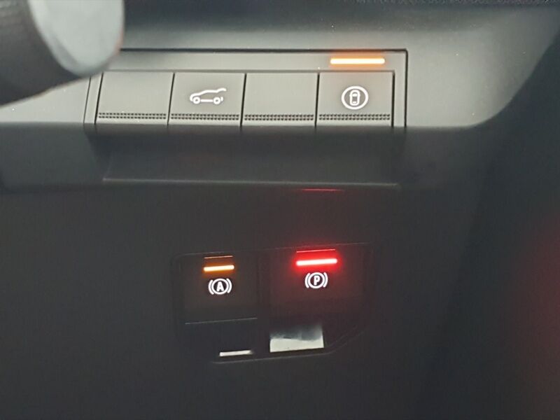 More views of Renault Scenic