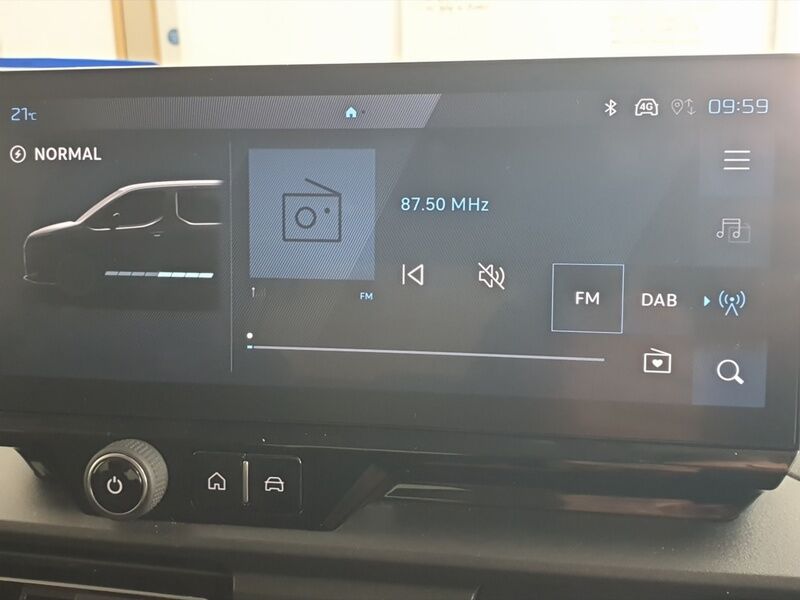 More views of Peugeot Rifter