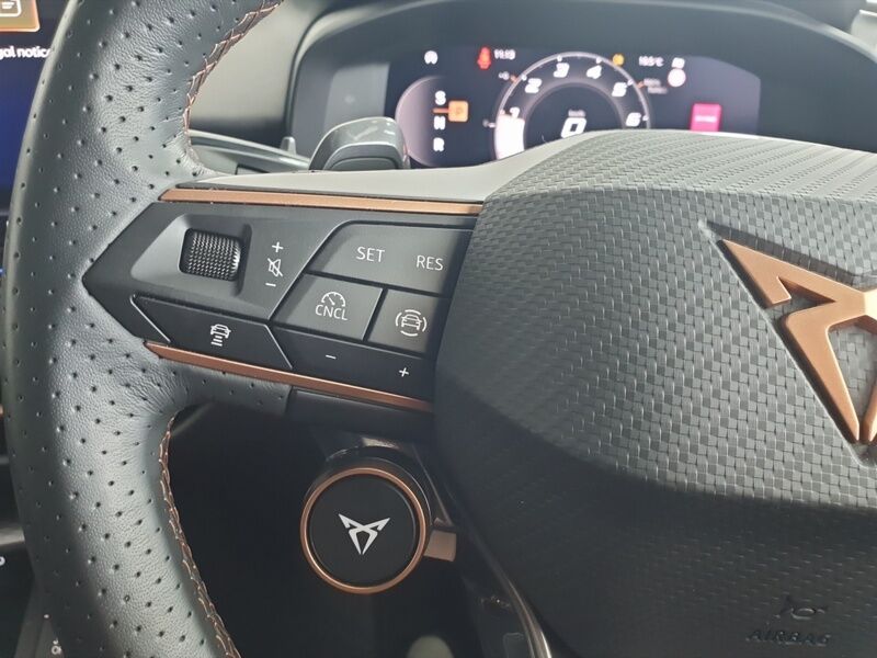More views of Cupra Terramar