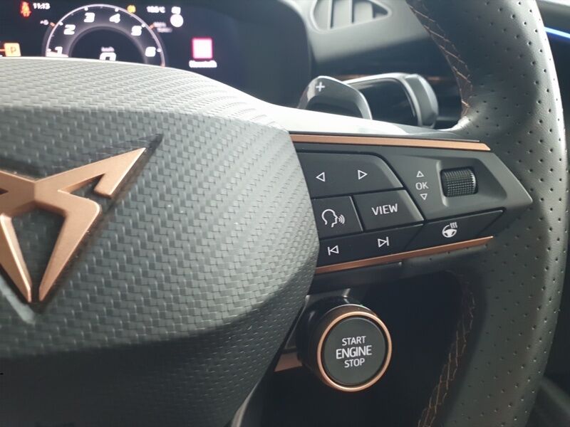 More views of Cupra Terramar