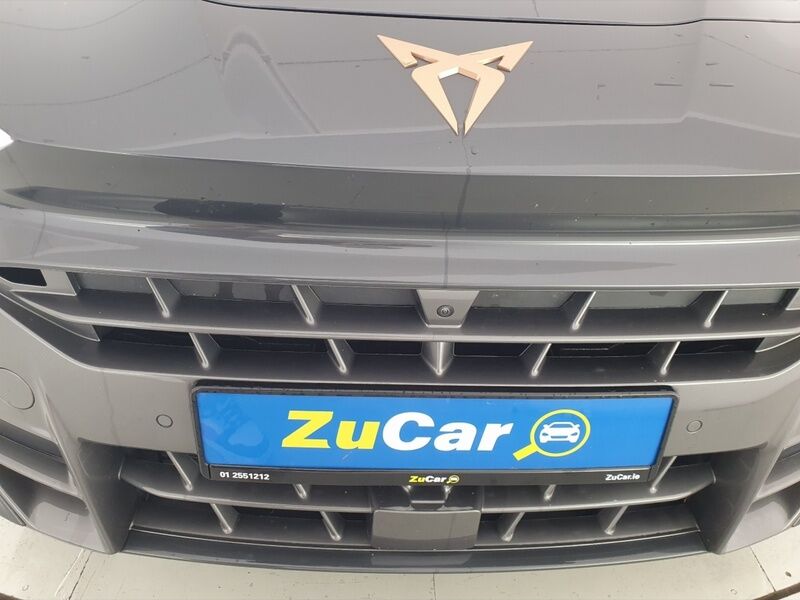 More views of Cupra Terramar