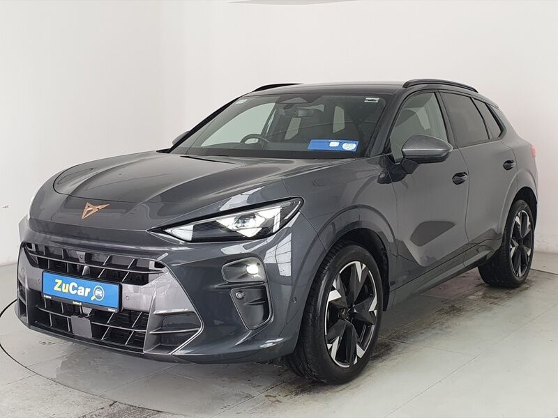 More views of Cupra Terramar