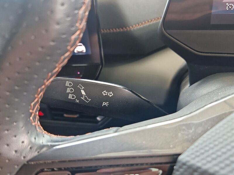 More views of Cupra Born