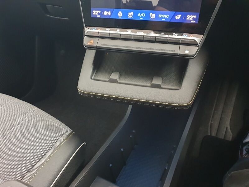 More views of Renault Scenic